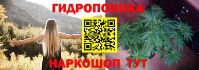apvp Заводоуковск