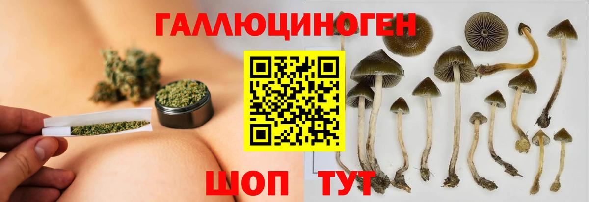 Псилоцибиновые грибы Cubensis Магнитогорск